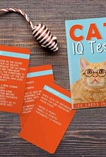 Gift Republic CAT IQ TEST