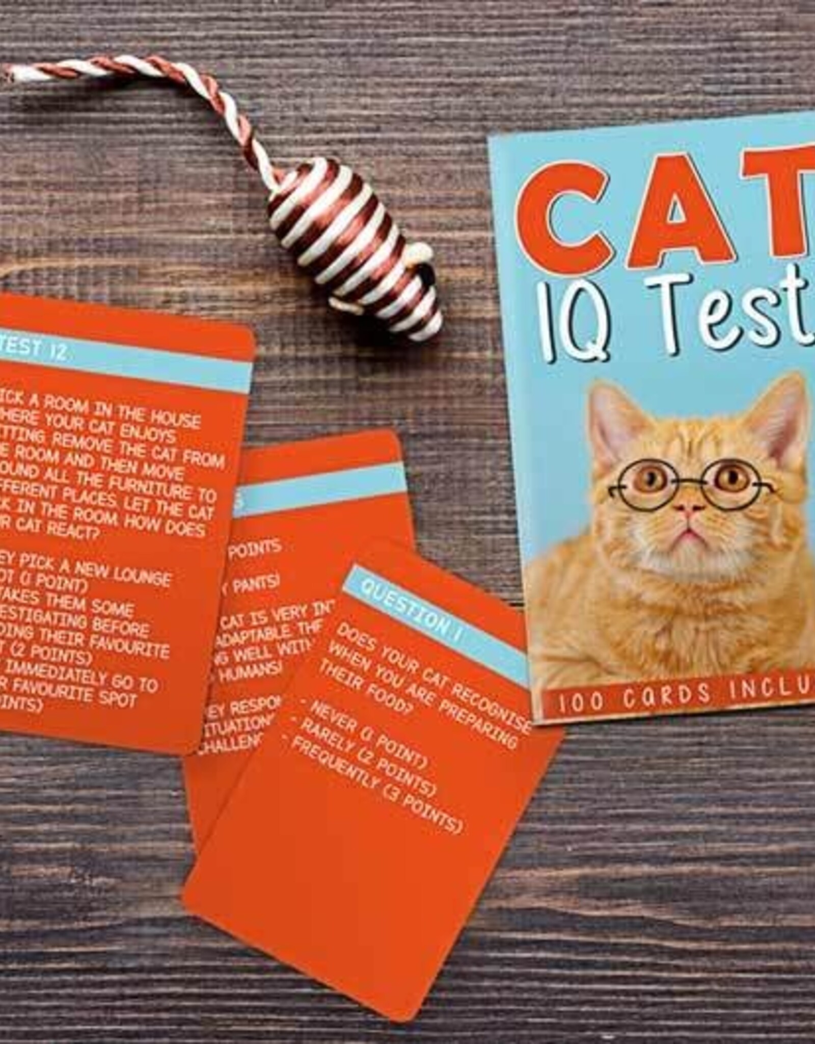 Gift Republic CAT IQ TEST