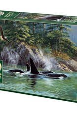 Cobble Hill Orcas 1000pc