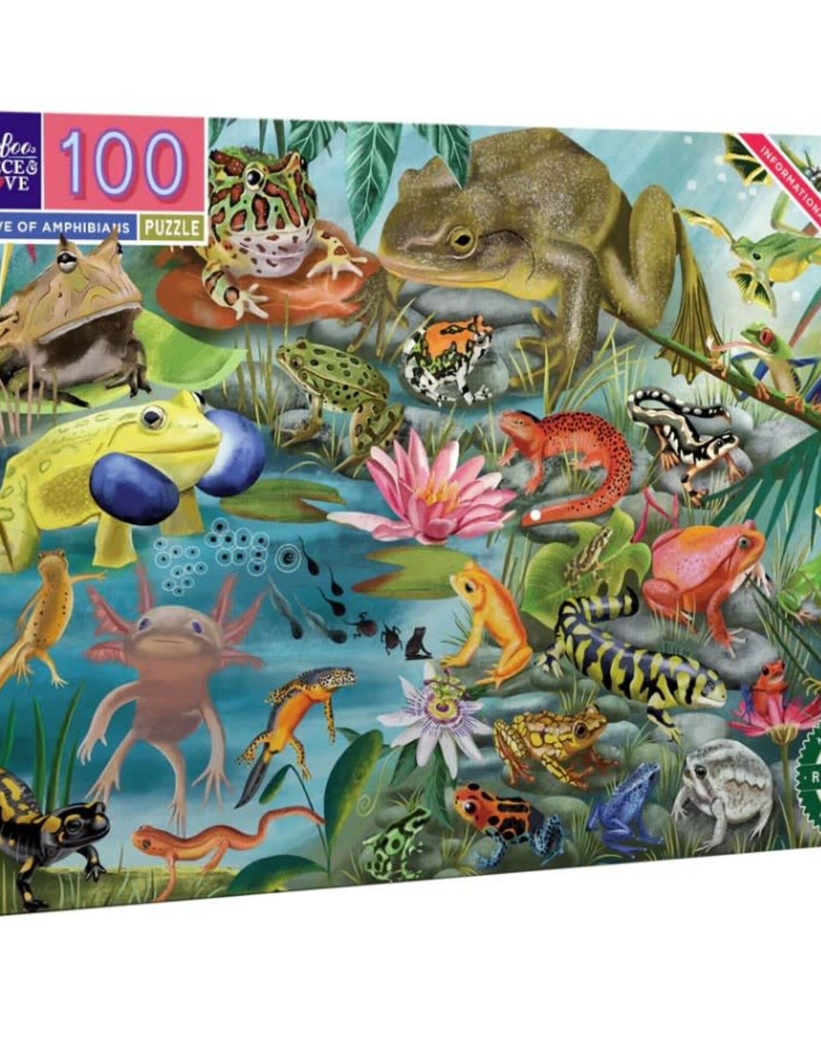 eeBoo Love of Amphibians 100 PC