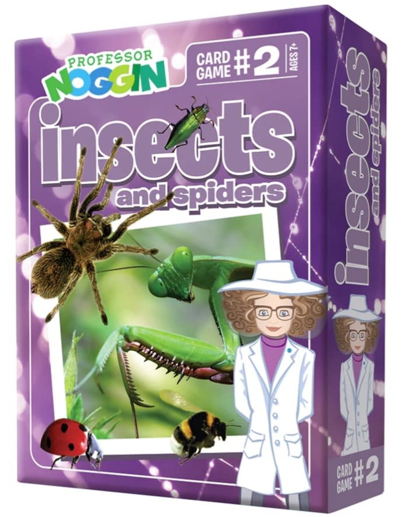 Professor Noggin Prof. Noggin Insects and Spiders