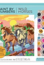 Bright Stripes Paint By Numbers- Wild Horses