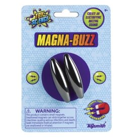 Toysmith Magna Buzz