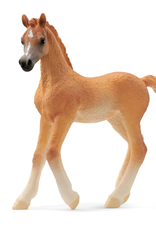 Schleich Arabian Foal 13984