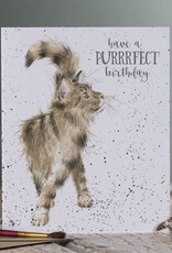 Wrendale Design CARD-JUST PURRFECT SINGLE
