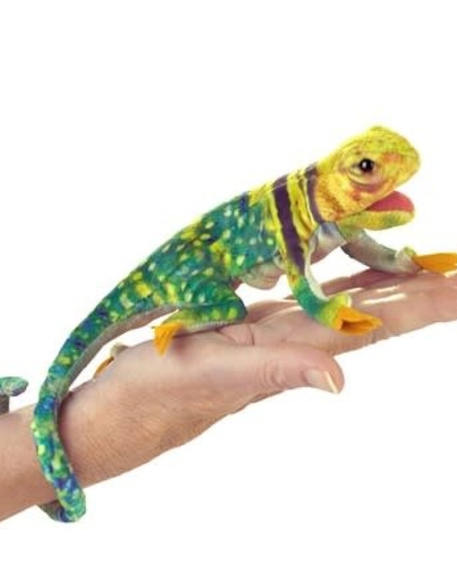 FOLKMANIS Mini Collared Lizard Puppet