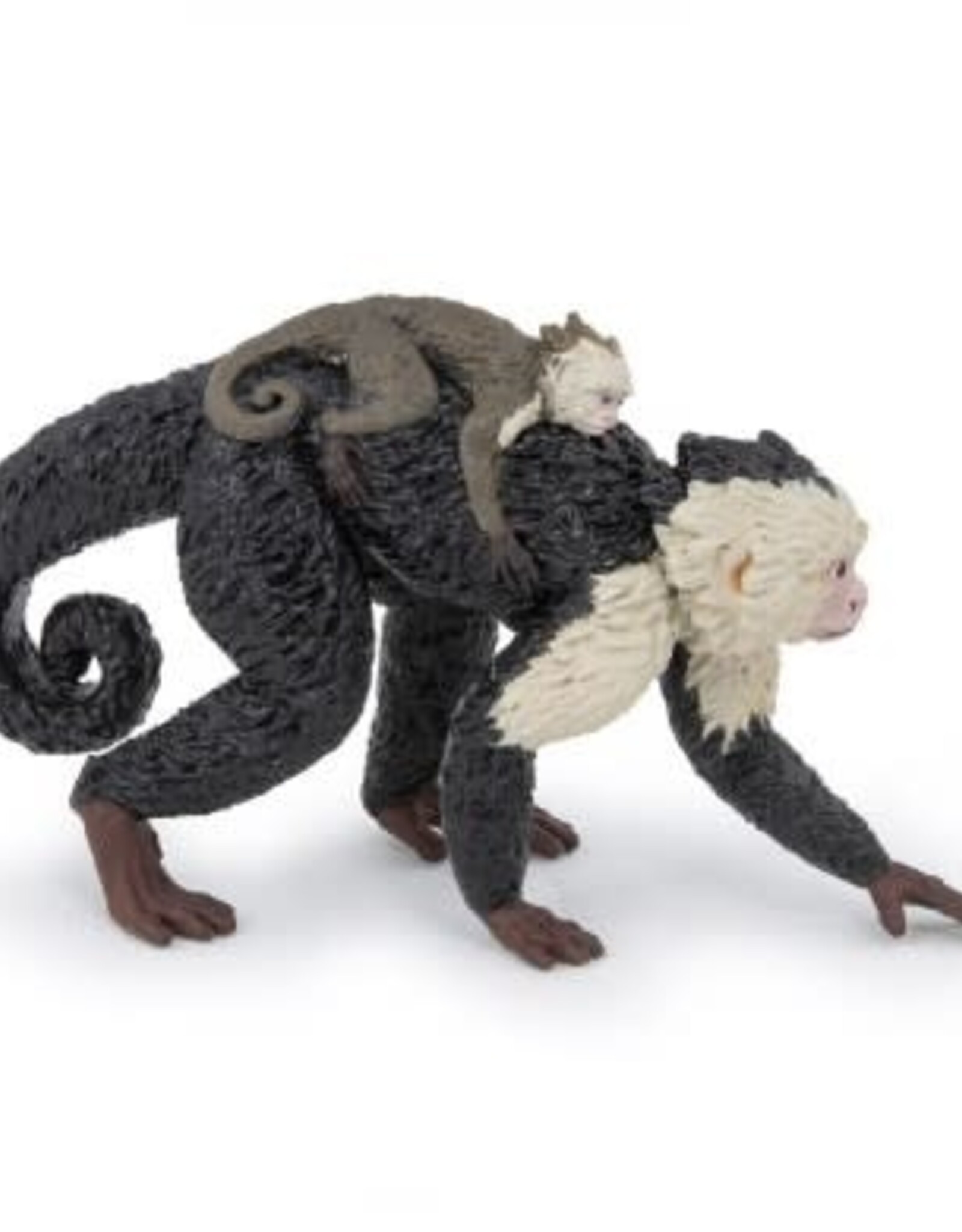 Papo Papo Capuchin