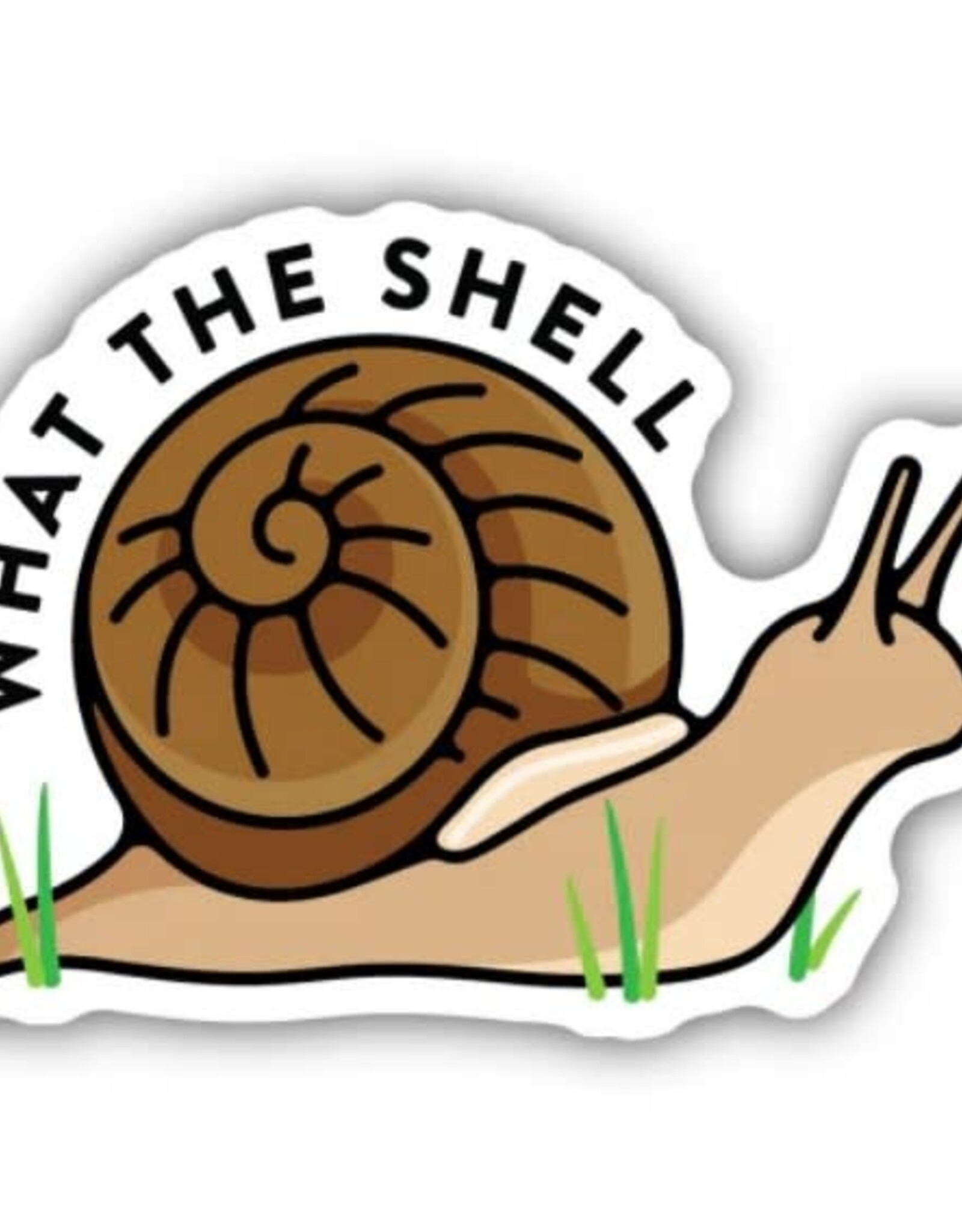 Stickers NW WHAT THE SHELL SNAIL - STICKER