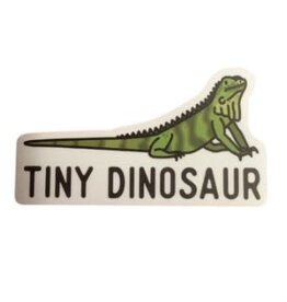 Stickers NW Tiny Dinosaur Sticker