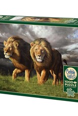 Cobble Hill Approaching Storm 1000pc