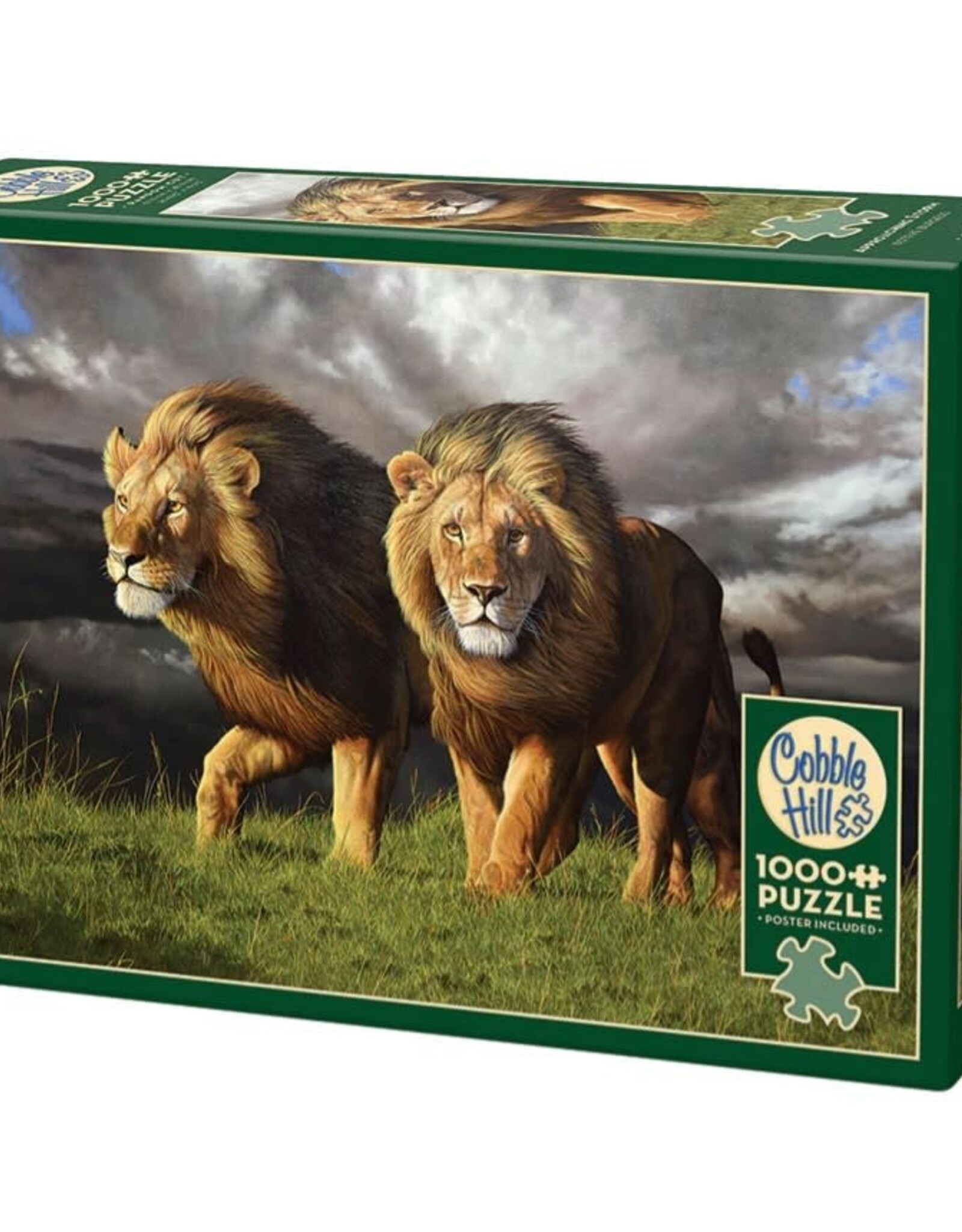 Cobble Hill Approaching Storm 1000pc