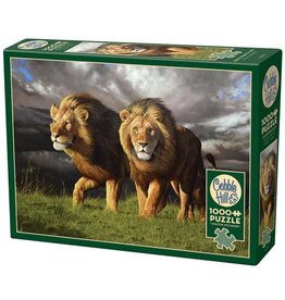 Cobble Hill Approaching Storm 1000pc