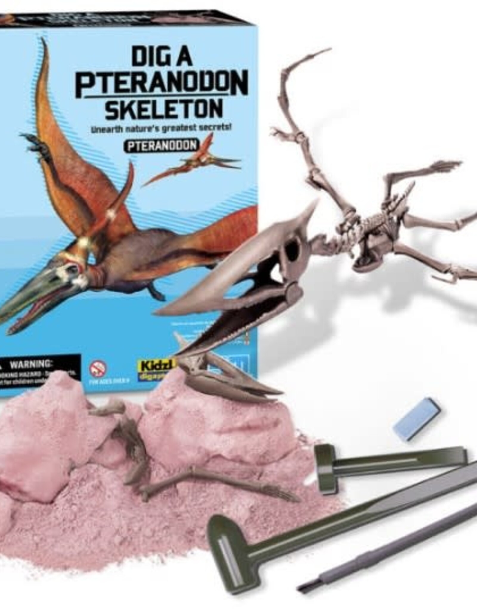 4M Dig A Pteranodon Skeleton