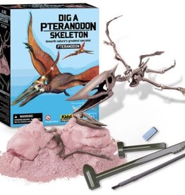 4M Dig A Pteranodon Skeleton