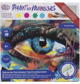 Thomas Kinkade PBN Creative Eye