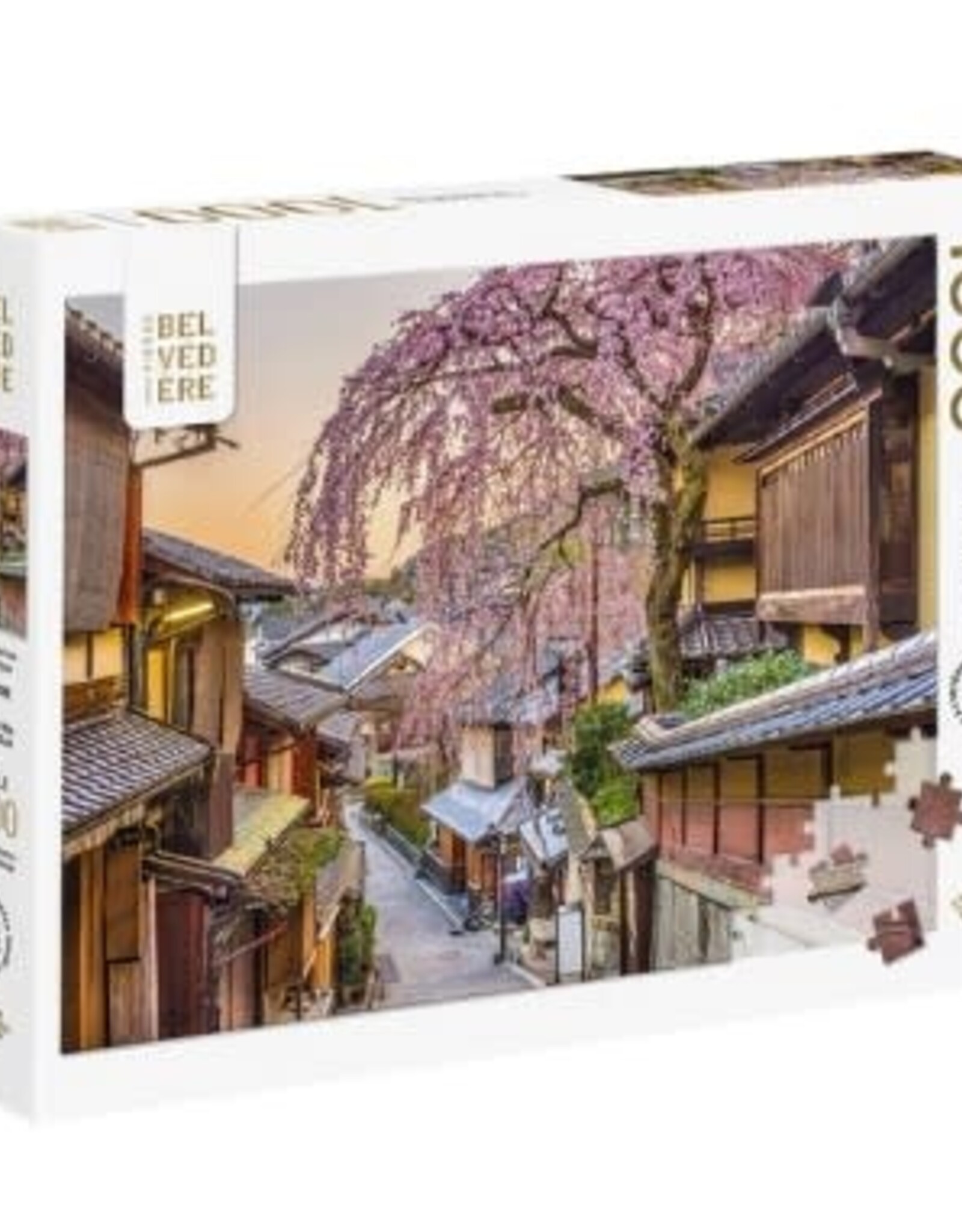 Pierre Belvedere KYOTO NEIGHBORHOOD 1000pc