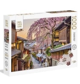 Pierre Belvedere KYOTO NEIGHBORHOOD 1000pc