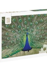 Pierre Belvedere BLUE PEACOCK 1000pc