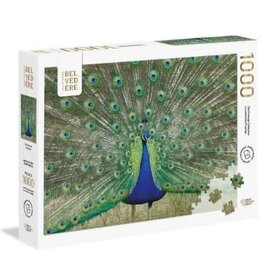 Pierre Belvedere BLUE PEACOCK 1000pc