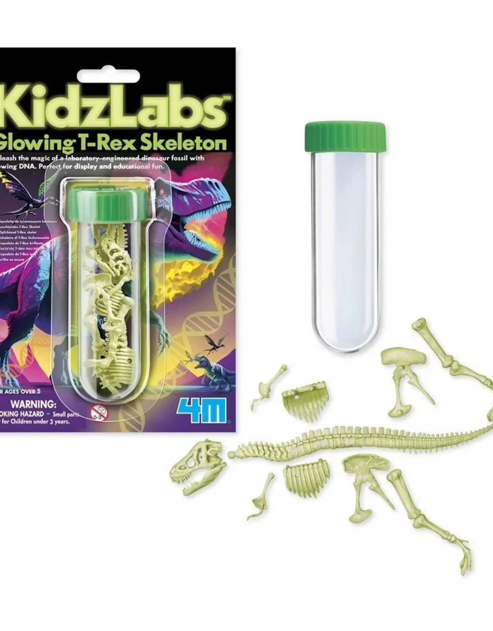 4M KIDZLABS GLOWING T-REX SKELETON