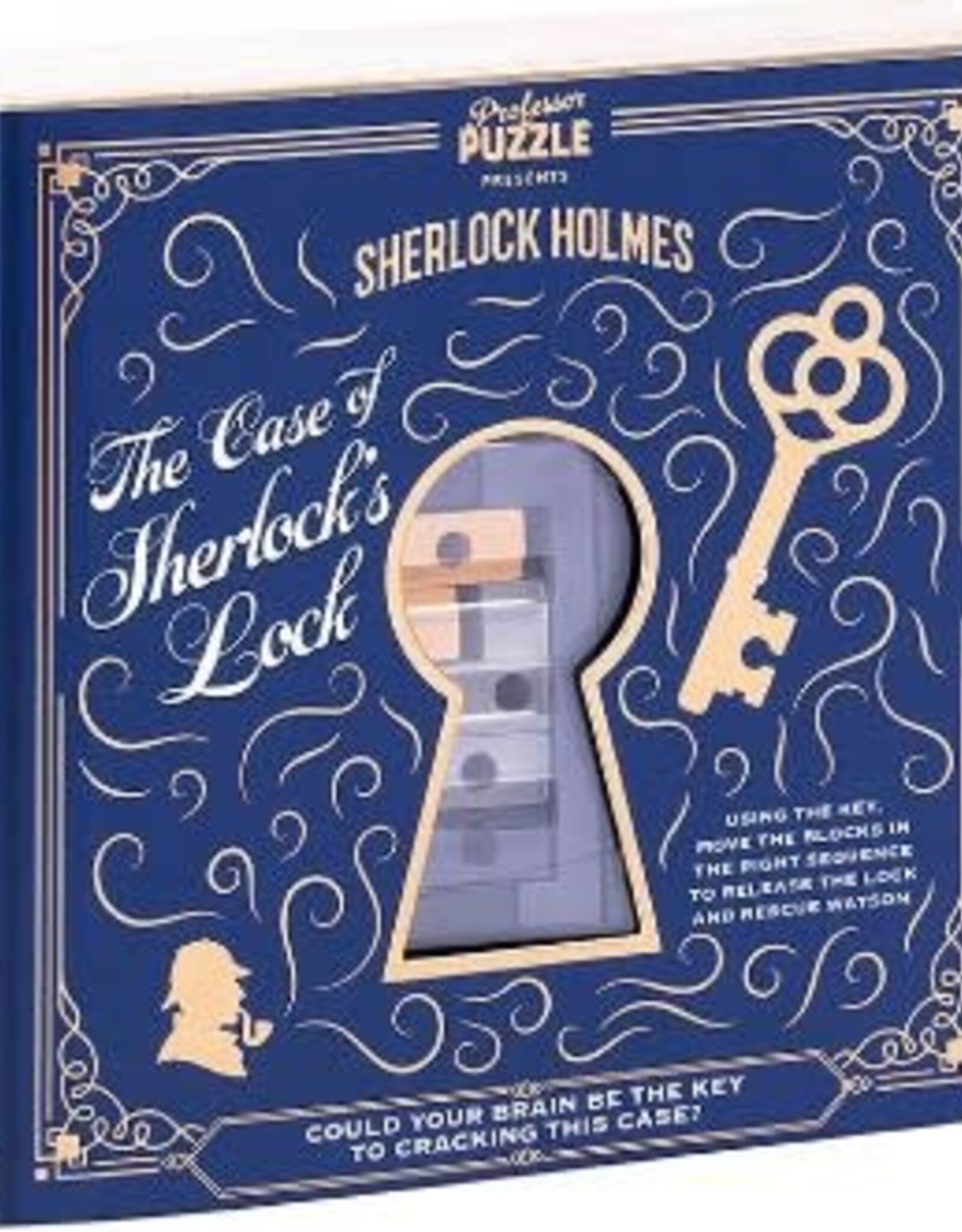 Professor Puzzle The Case of Sherlock's Lock Puzzle