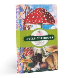 eeBoo Fumiha's Little Book Set