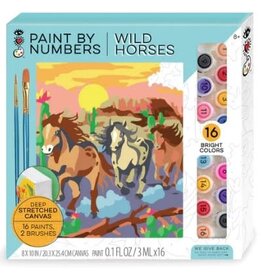 Bright Stripes Paint By Numbers - Wild Horses
