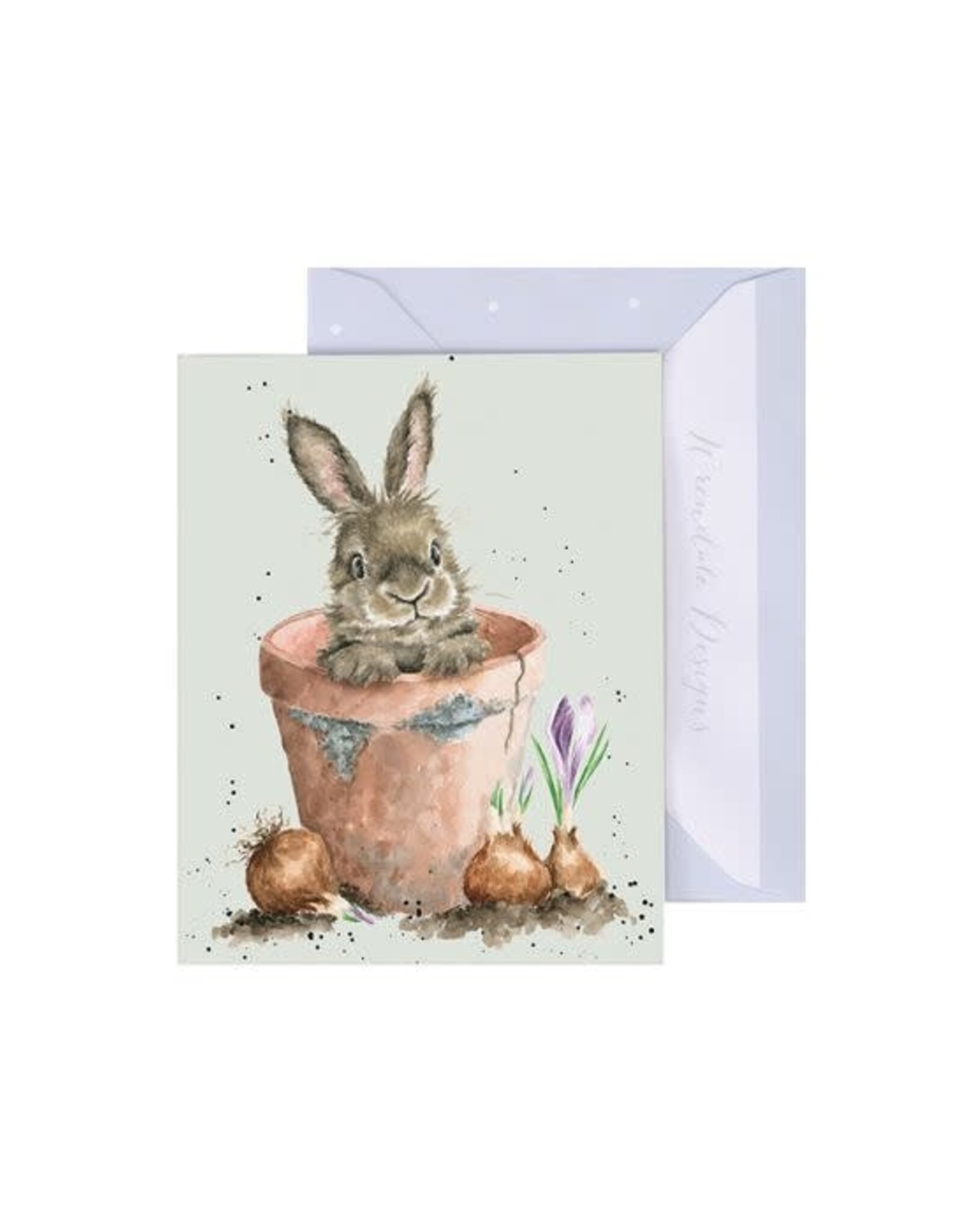 Wrendale Design Card- The Flower Pot Gift Card Enclosure