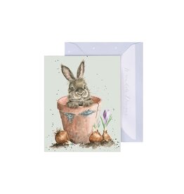 Wrendale Design Card- The Flower Pot Gift Enclosure