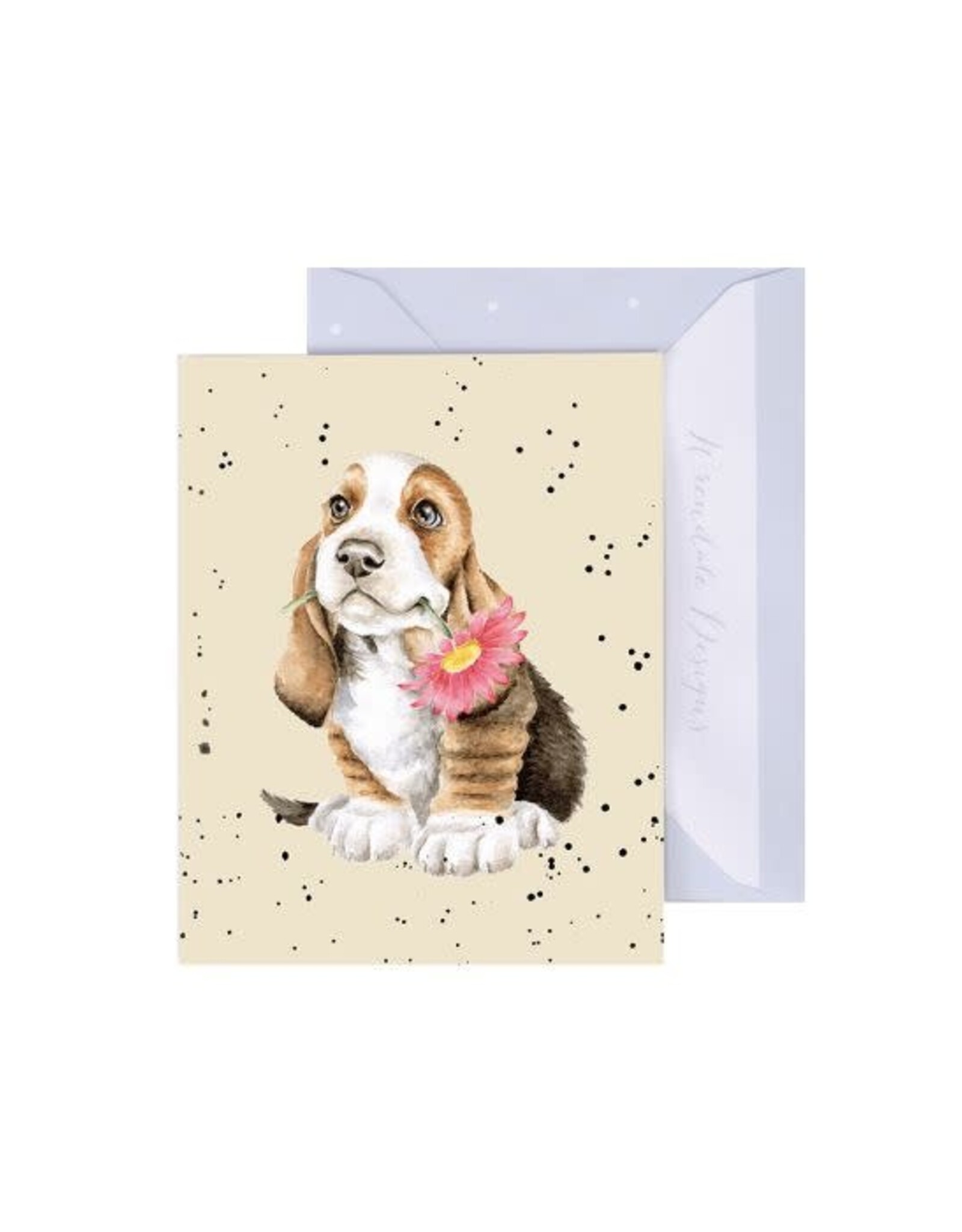 Wrendale Design Card-Just for you Enclosure