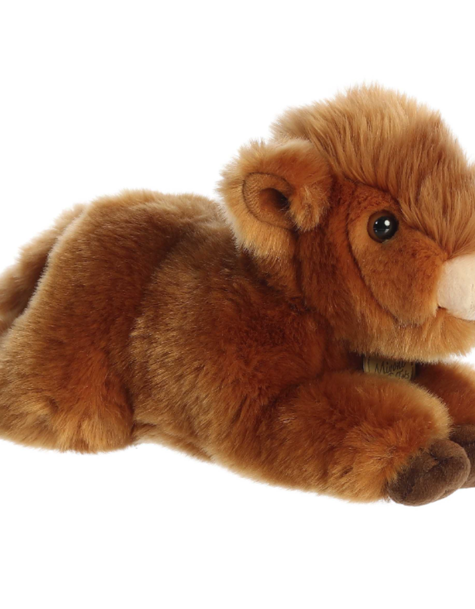 Aurora Miyoni - Tots - Highland Cow Calf 11"