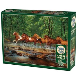 Cobble Hill Spring Creek Run 1000pc