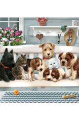 Cobble Hill Porch Swing Buddies (tray) 35pc