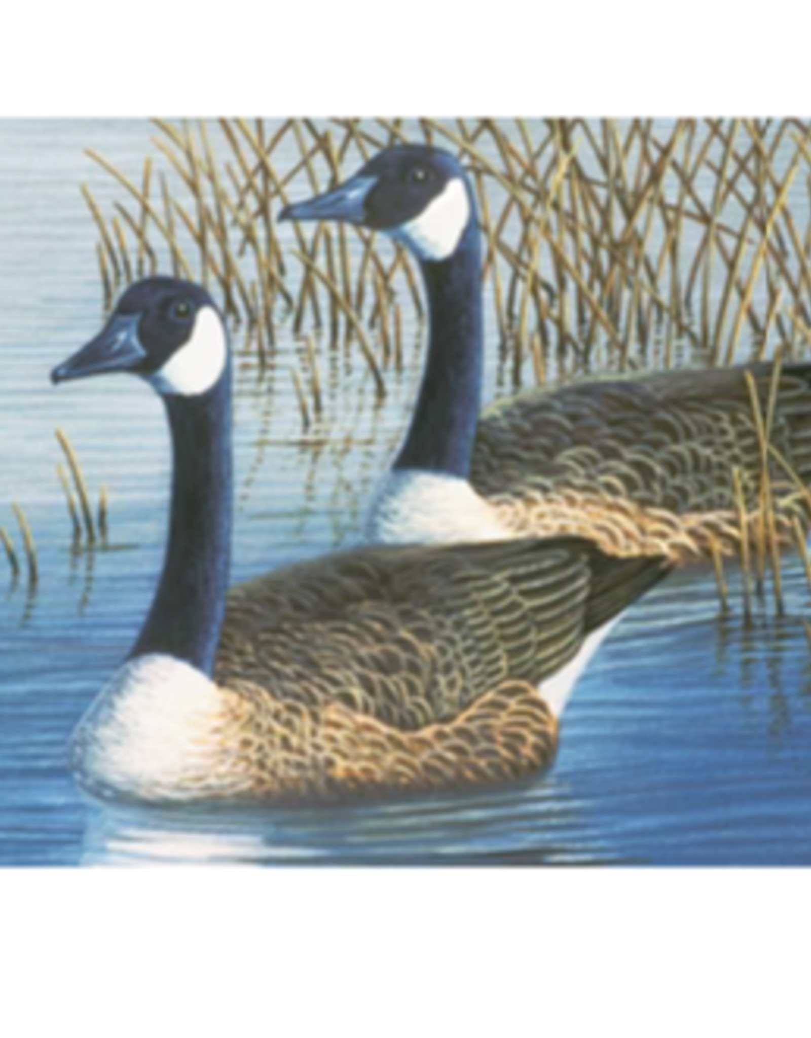 Royal Langnickel Large PBN Geese