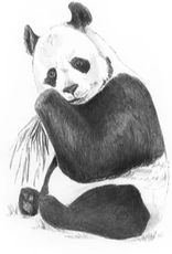 Royal Langnickel Mini SKBN Panda