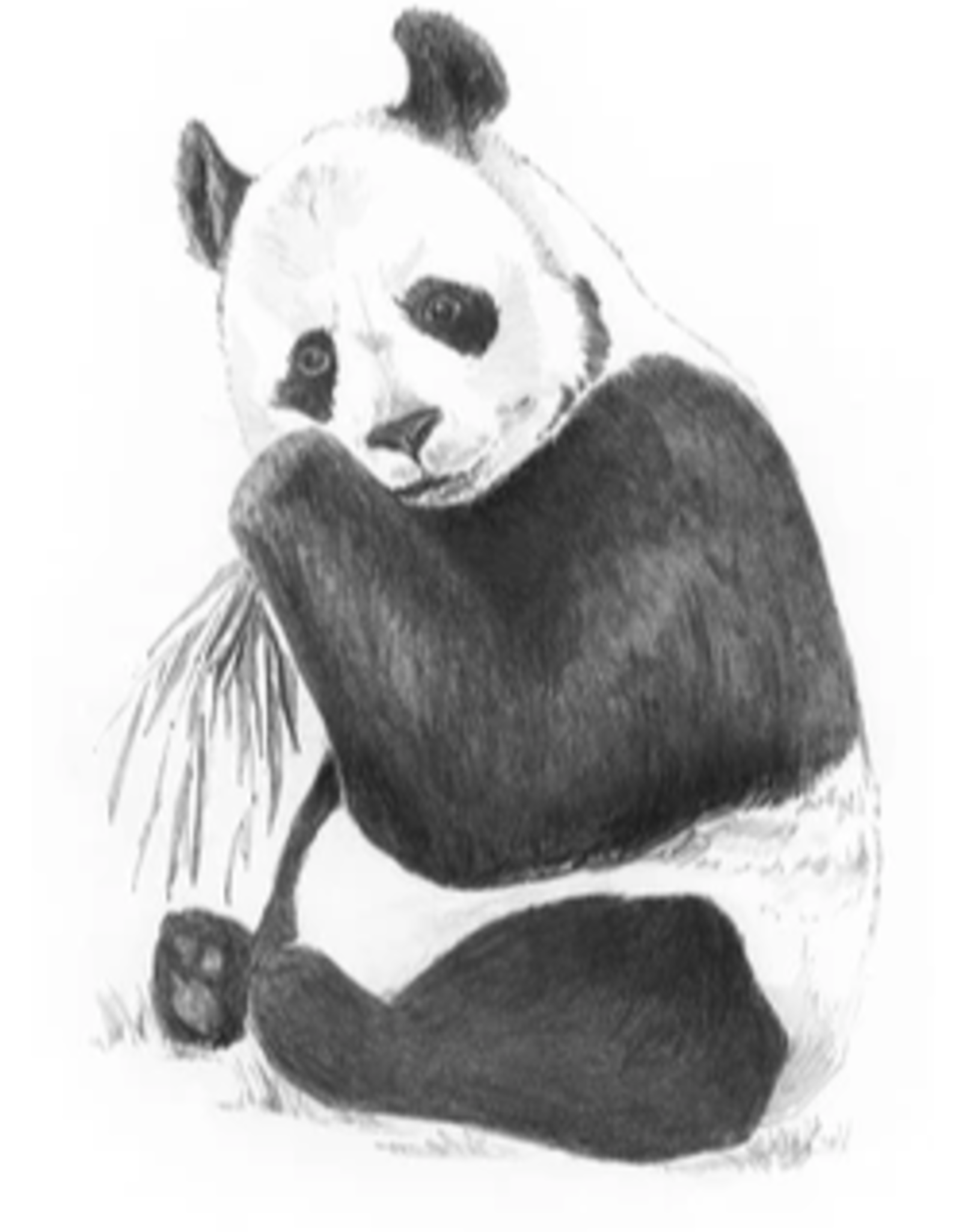 Royal Langnickel Mini SKBN Panda