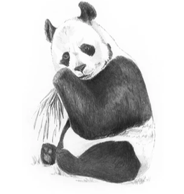 Royal Langnickel Mini SKBN Panda