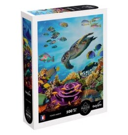 Calypto Seabed XL 500pc