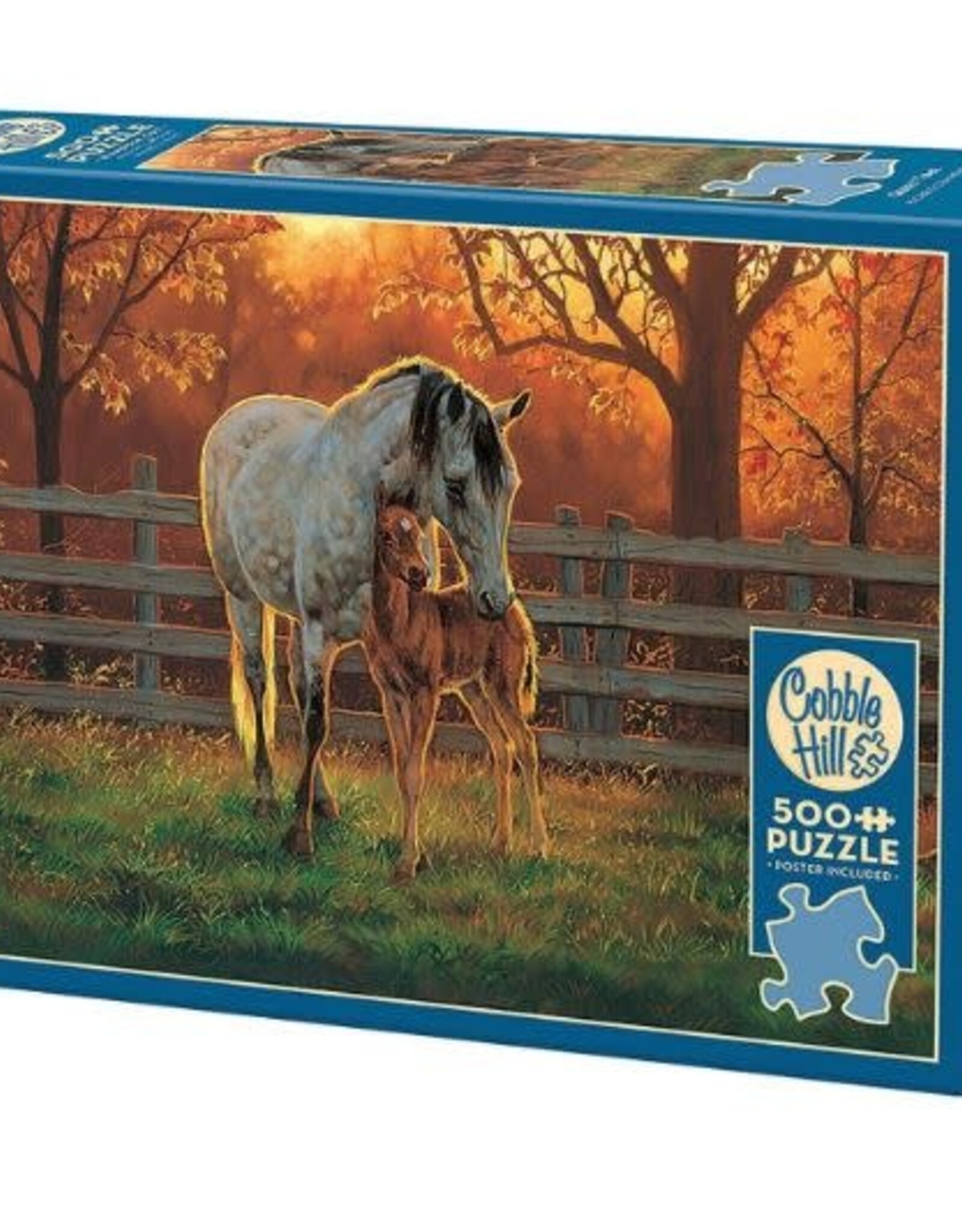 Cobble Hill Quiet Time 500pc