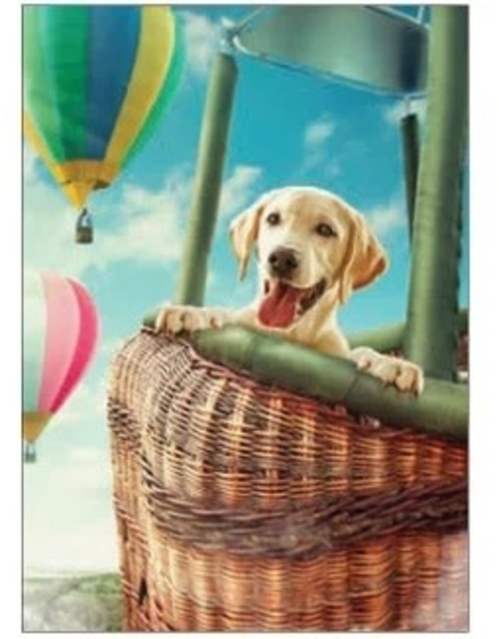 Wiggles and Whiskers Card-MI/Floating By