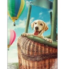 Wiggles and Whiskers Card-MI/Floating By