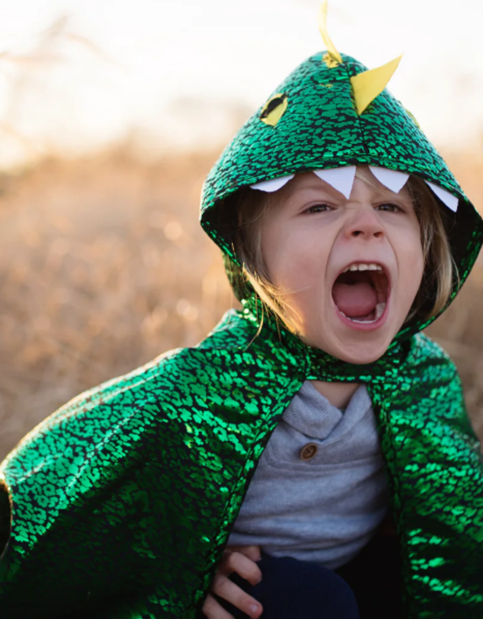 Great Pretenders Dragon Toddler Cape, Green/Metallic, Size 2-3T