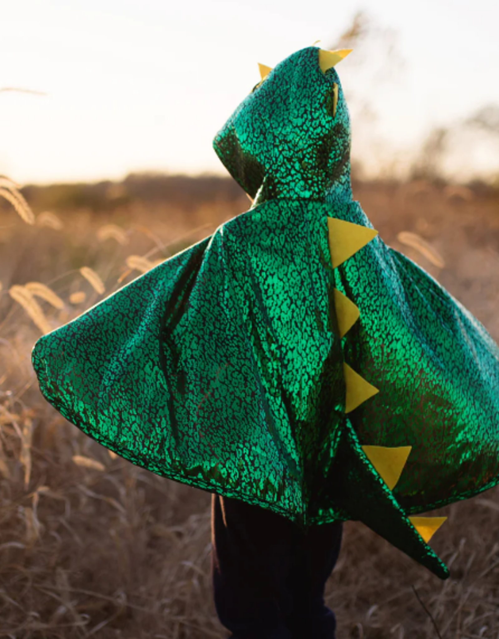 Great Pretenders Dragon Toddler Cape, Green/Metallic, Size 2-3T