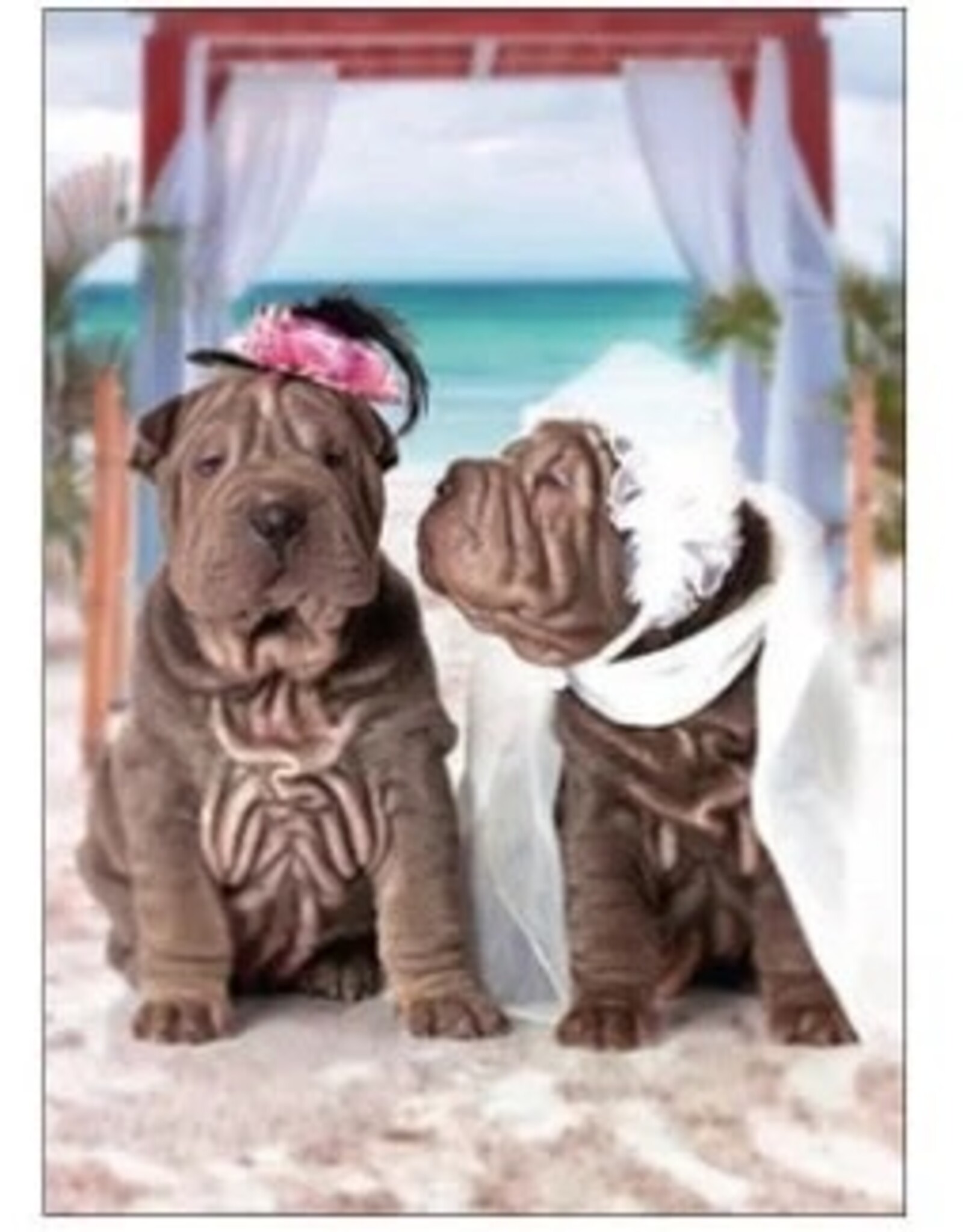 Wiggles and Whiskers Card-WD/Slice Of Paradise