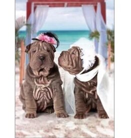 Wiggles and Whiskers Card-WD/Slice Of Paradise