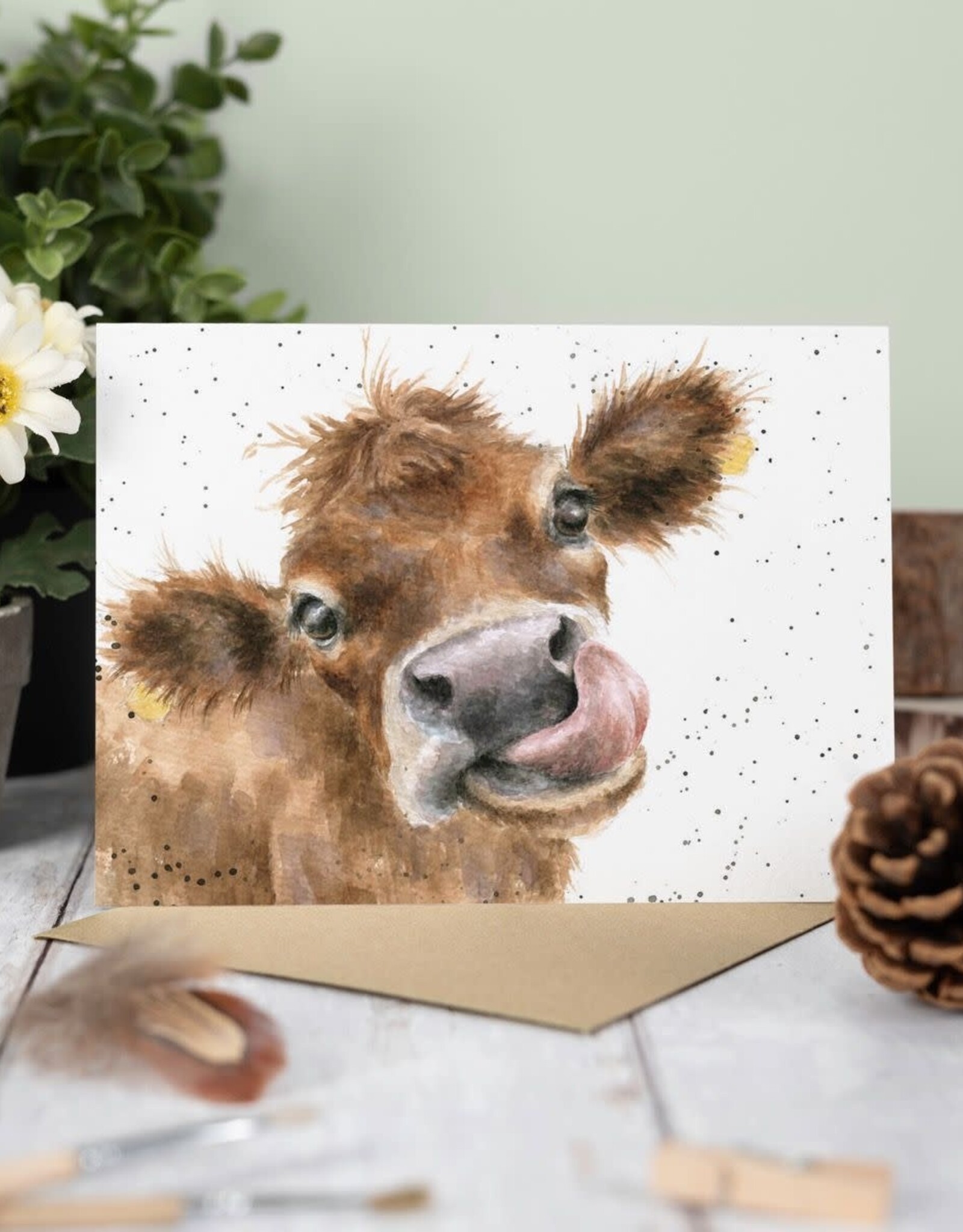 Wrendale Design CARD-MOOOO SINGLE