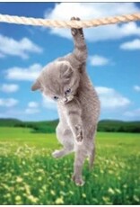 Wiggles and Whiskers Card-GW/Hang In There