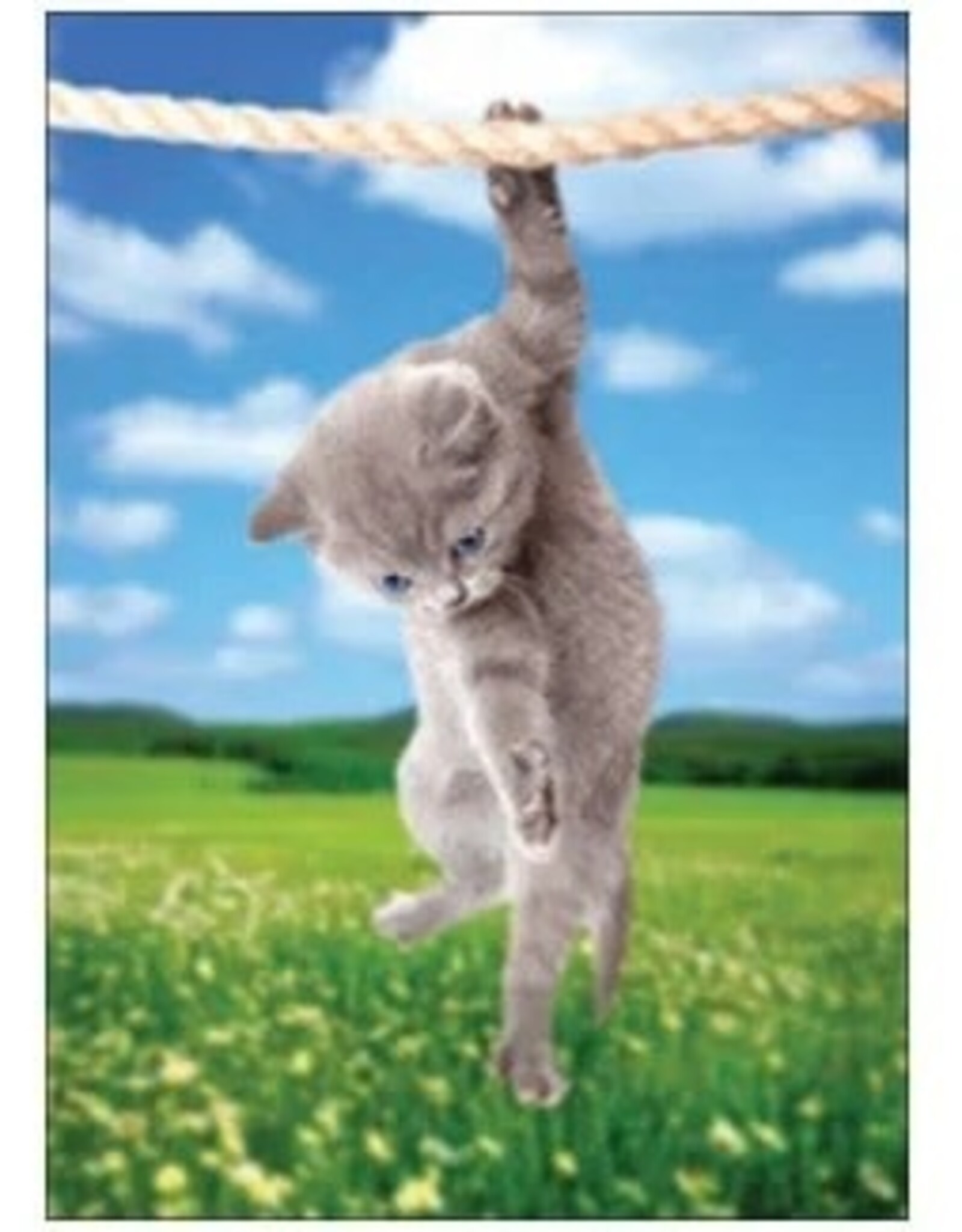 Wiggles and Whiskers Card-GW/Hang In There