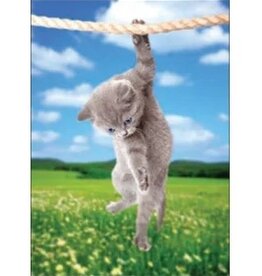 Wiggles and Whiskers Card-GW/Hang In There