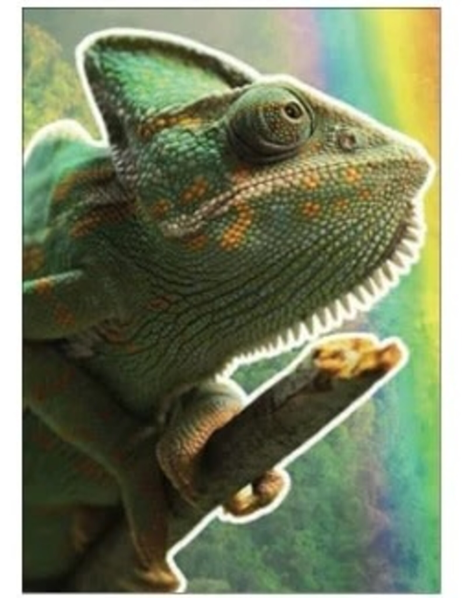 Wiggles and Whiskers Card-GW/Feeling Brighter